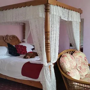 *** Guest house Winston House United Kingdom